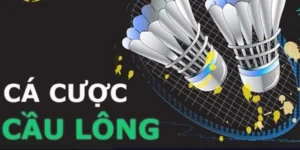 Cách Chơi Cá Cược Cầu Lông Fun88 Đơn Giản Và Thắng Lớn 2025