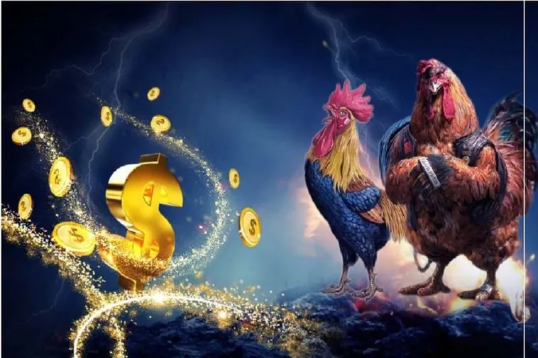 Tìm Hiểu Cách Chơi Đá Gà WS168 Tại Fun88 Thú Vị Và Hấp Dẫn Nhất