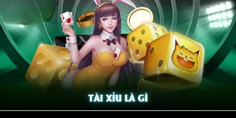 Khám Phá Cách Chơi Tài Xỉu Nhà Cái Fun88 Đơn Giản Và Thú Vị 2 Khám Phá Cách Chơi Tài Xỉu Nhà Cái Fun88 Đơn Giản Và Thú Vị